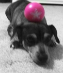 Debby