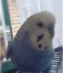 Jaimy818