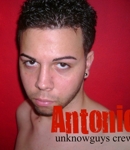 tonydamiani
