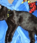 kerryk
