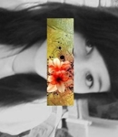 monica :]