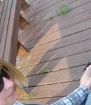 mainus12