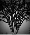 ...[~k. napper~]...