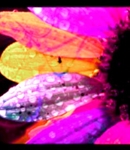 xpurple21x
