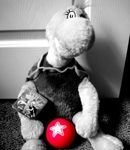 Semor Fluffykins