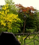 Sarindam7