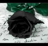 everybodyneedslove