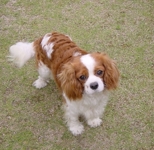 kathrine