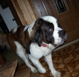 hannah