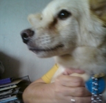 milo001