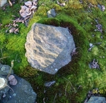 Asekelsky