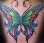 butterfly23