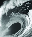 surfrider foundation