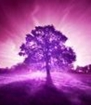 Foundation Of Hope!